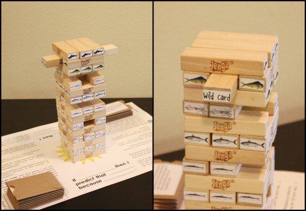 Fig - Wild Card copy